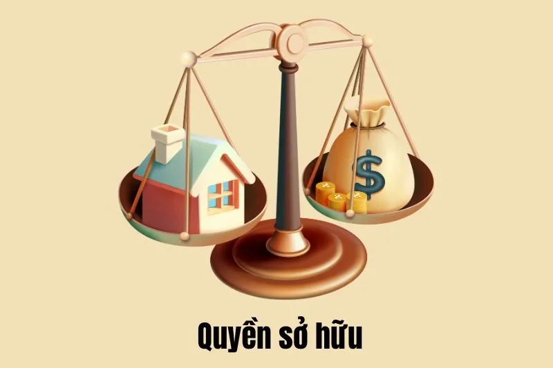 Quyền sở hữu: Các Hình Thức Và Căn Cứ Xác Lập Mới Nhất Theo Quy Định Pháp Luật